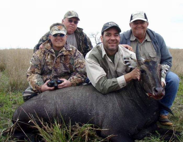 All Seasons Guide Service South Texas Nilgai Antelope Safaris.