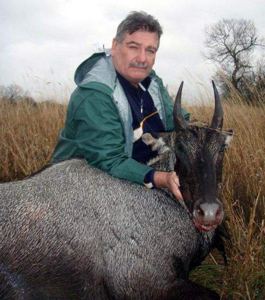 All Seasons Guide Service South Texas Nilgai Antelope Safaris.