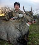 All Seasons Guide Service South Texas Nilgai Antelope Safaris - Click Here For A Larger View