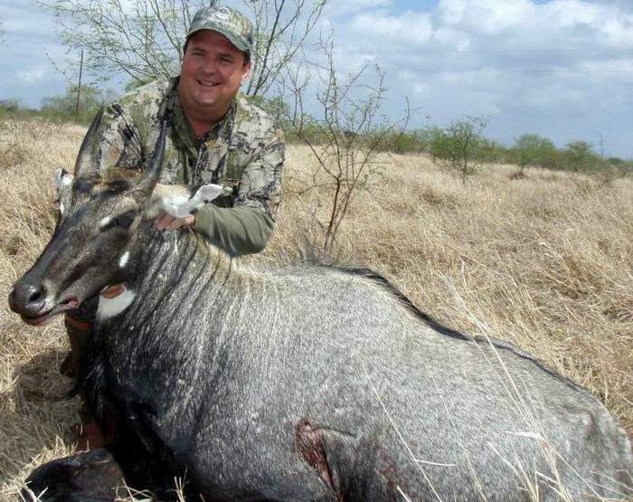 All Seasons Guide Service South Texas Nilgai Antelope Safaris.