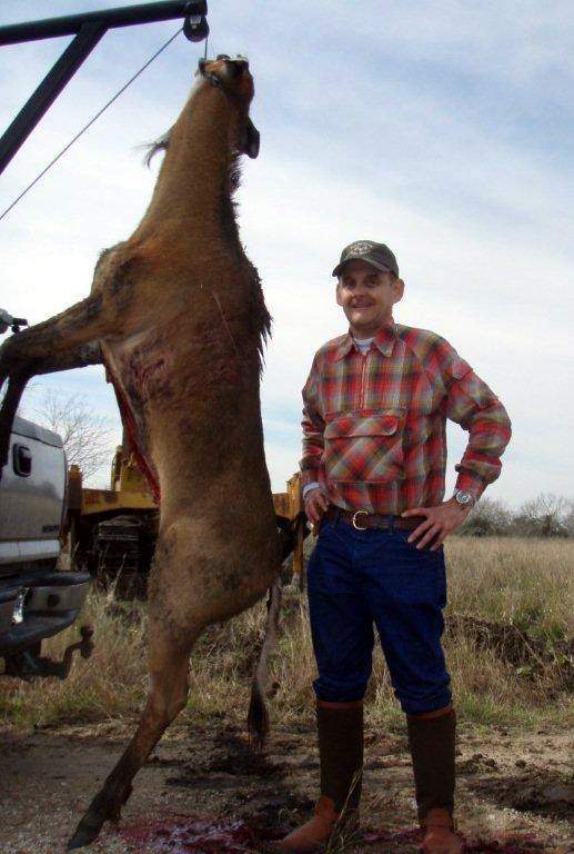 All Seasons Guide Service South Texas Nilgai Antelope Safaris.