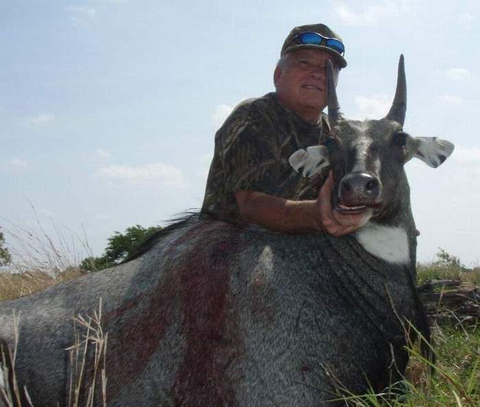 All Seasons Guide Service South Texas Nilgai Antelope Safaris.