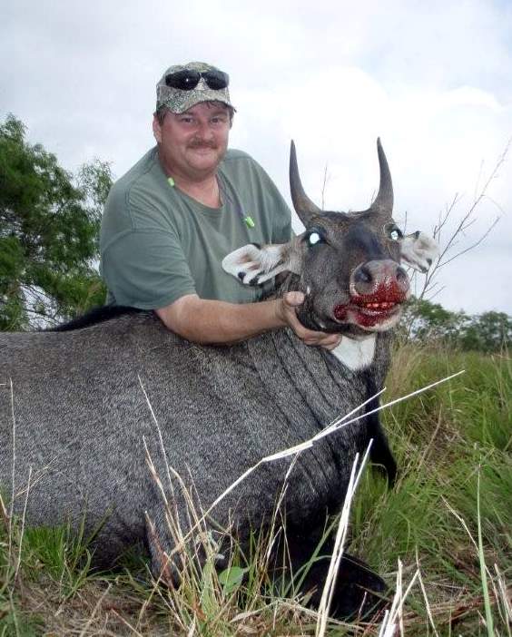 All Seasons Guide Service South Texas Nilgai Antelope Safaris.