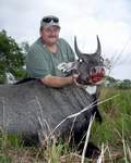 All Seasons Guide Service South Texas Nilgai Antelope Safaris - Click Here For A Larger View