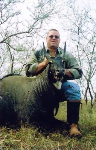 All Seasons Guide Service South Texas Nilgai Antelope Safaris.