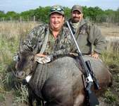 All Seasons Guide Service South Texas Nilgai Antelope Safaris - Click Here For A Larger View