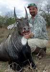 All Seasons Guide Service South Texas Nilgai Antelope Safaris - Click Here For A Larger View