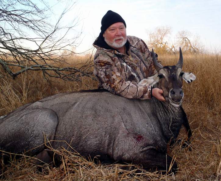 All Seasons Guide Service South Texas Nilgai Antelope Safaris - Click Here To Return To The Nilgai Hunting Gallery.