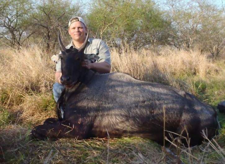 All Seasons Guide Service South Texas Nilgai Antelope Safaris - Click Here To Return To The Nilgai Hunting Gallery.