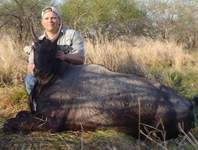 All Seasons Guide Service South Texas Nilgai Antelope Safaris - Click Here For A Larger View