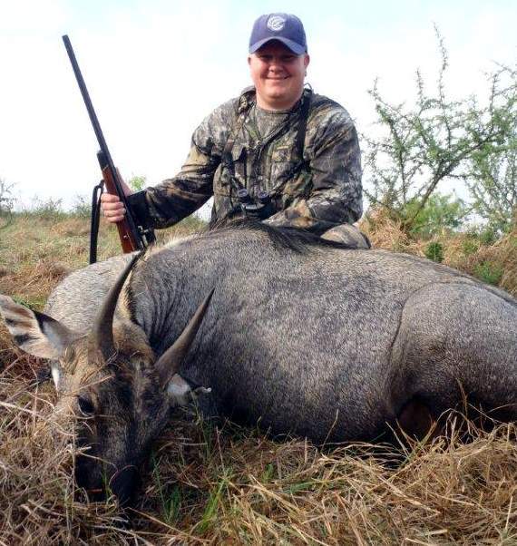 All Seasons Guide Service South Texas Nilgai Antelope Safaris - Click Here To Return To The Nilgai Hunting Gallery.