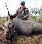 All Seasons Guide Service South Texas Nilgai Antelope Safaris - Click Here For A Larger View