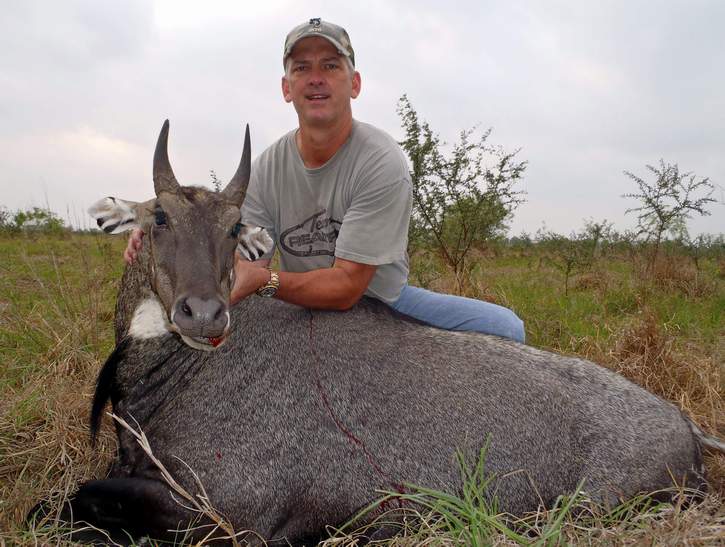 All Seasons Guide Service South Texas Nilgai Antelope Safaris - Click Here To Return To The Nilgai Hunting Gallery.