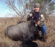 All Seasons Guide Service South Texas Nilgai Antelope Safaris - Click Here For A Larger View