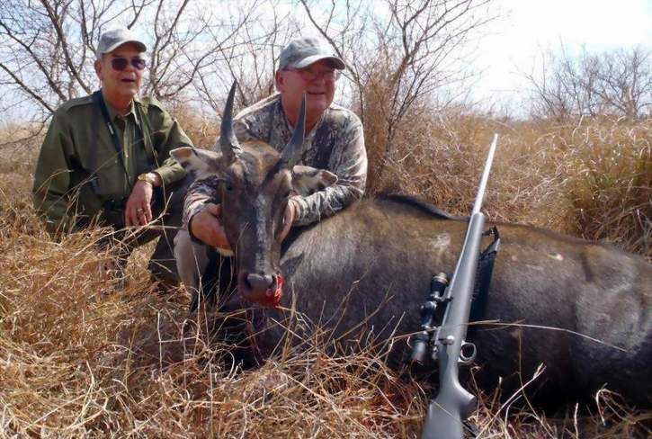 All Seasons Guide Service South Texas Nilgai Antelope Safaris - Click Here To Return To The Nilgai Hunting Gallery.