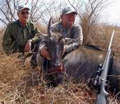 All Seasons Guide Service South Texas Nilgai Antelope Safaris - Click Here For A Larger View