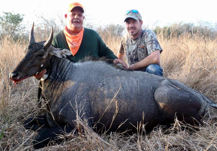 All Seasons Guide Service South Texas Nilgai Antelope Safaris - Click Here To Return To The Nilgai Hunting Gallery.