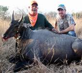 All Seasons Guide Service South Texas Nilgai Antelope Safaris - Click Here For A Larger View