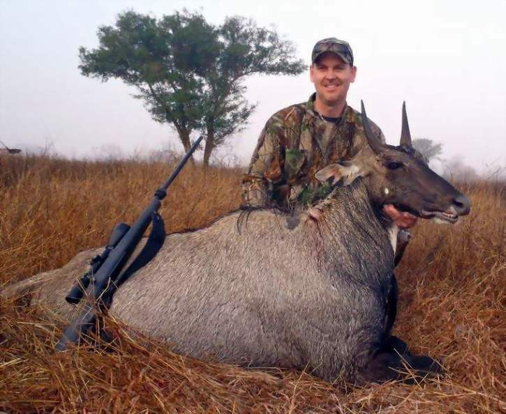 All Seasons Guide Service South Texas Nilgai Antelope Safaris - Click Here To Return To The Nilgai Hunting Gallery.