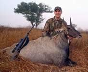 All Seasons Guide Service South Texas Nilgai Antelope Safaris - Click Here For A Larger View