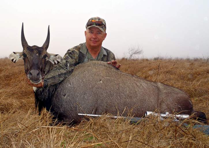 All Seasons Guide Service South Texas Nilgai Antelope Safaris - Click Here To Return To The Nilgai Hunting Gallery.