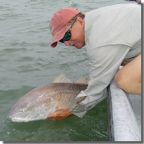 Captaqin John Frankson  setting the Big Bull Red Free