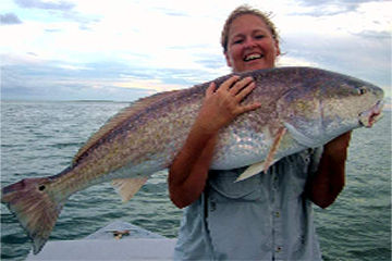 Look At This Huge Trophy Red Fish.