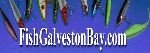 Come fish the Galveston Bay complex with Capt. C.R. Maher. 