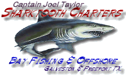  Captain Joel Taylor - Galveston  & Freeport Texas Offshore, Bays, Jetty, Fishing Charters.